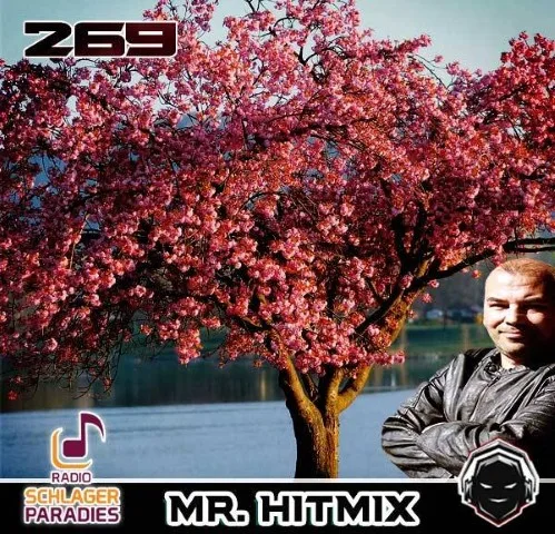 Hitmix Der Nacht - Der Dj Mix (269)(Gemixt Von Frank Schulze)